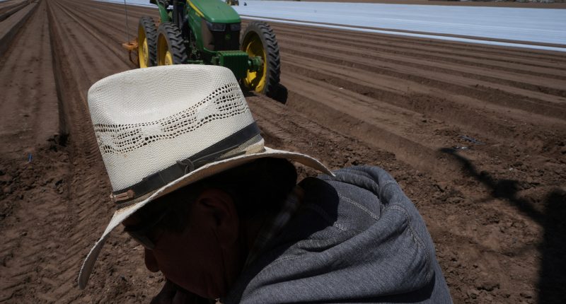 ICE raids and their uncertainty scare off workers and baffle businesses