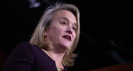 Illinois Rep. Nikki Budzinski named in Minnesota murder suspect's notes, she says