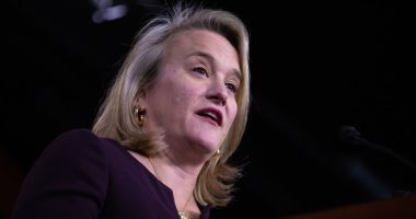 Illinois Rep. Nikki Budzinski named in Minnesota murder suspect's notes, she says