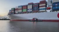 Impacts of tariffs on Georgia's ports