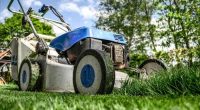 Is it against the law in Florida to blow grass clippings onto the road?