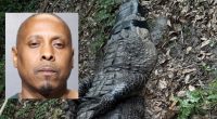 Jacksonville drug search uncovers animal abuse charges, found illegal alligator
