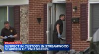 Jalonie Jenkins charged with murder in connection with stabbing of 2 sisters in Streamwood