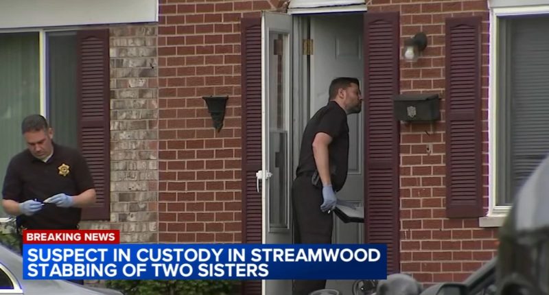 Jalonie Jenkins charged with murder in connection with stabbing of 2 sisters in Streamwood