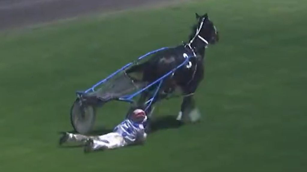 Jockey is hailed as a hero for saving her horse with an incredibly brave act that saw her get dragged around a racetrack