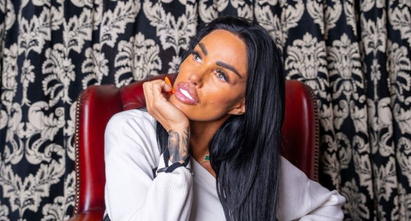 Katie Price slams Peter Andre for warning kids Princess and Junior to stay away from her