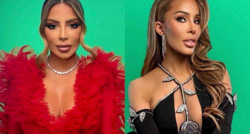 VIDEO: Larsa Pippen Calls Out Lisa Hochstein Over Friendship With Ex Marcus Jordan in Heated Argument as Lisa Blasts Larsa for Explicit Remark in RHOM Season 7 Preview
