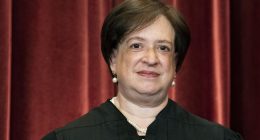 Liberal Justice Kagan Explained Why District Courts Can't Be Allowed to Constrain Presidents... in 2022