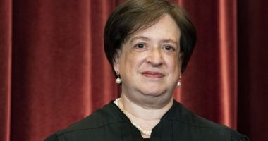 Liberal Justice Kagan Explained Why District Courts Can't Be Allowed to Constrain Presidents... in 2022