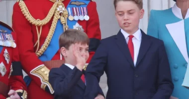 Lip Reader Reveals the Question Prince Louis Asked Prince George Before His Big Brother Told Him to 'Stop' on the Balcony