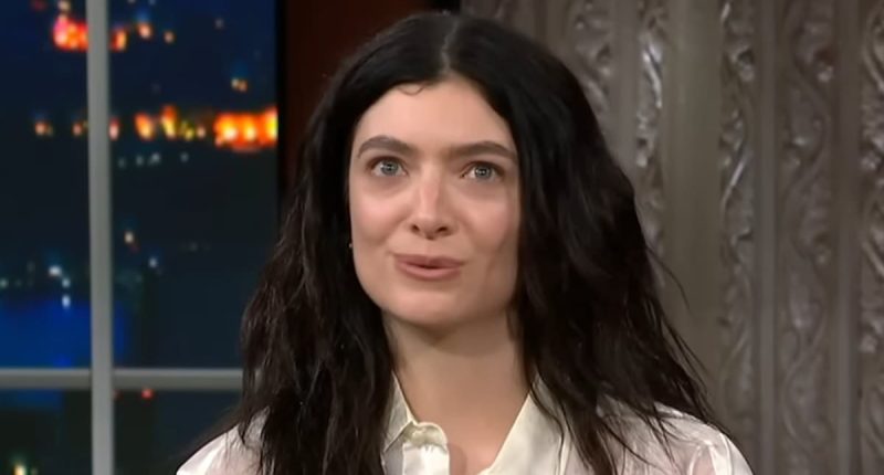 Lorde reveals shock exchange with NYPD antiterrorism unit as she filmed new video