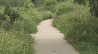 Man accused of threatening people with machete at a popular Denver park