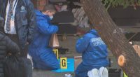 Man arrested after woman's body found in Sydney bushland