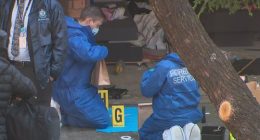 Man arrested after woman's body found in Sydney bushland