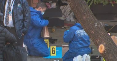 Man arrested after woman's body found in Sydney bushland