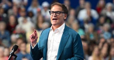 Mark Cuban Claims He Was Courted as Kamala Harris' Running Mate