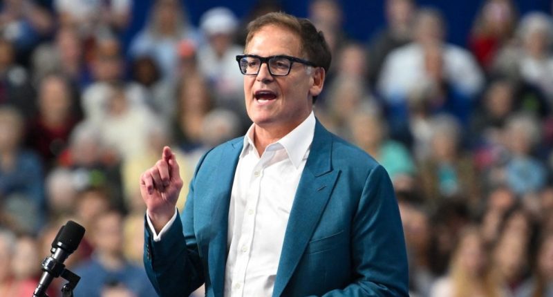 Mark Cuban Claims He Was Courted as Kamala Harris' Running Mate