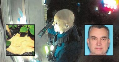 Minnesota assassination suspect already seeking court delay