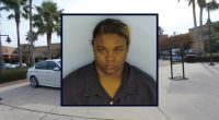 Mom left toddler at playground to work at store: Police