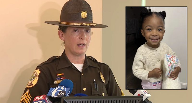 Mom lied about abduction of missing 3-year-old girl: Police