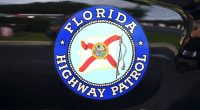 Motorcyclists crash after hitting alligator on I-4 in Orange City, troopers say