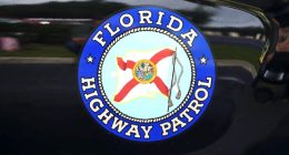 Motorcyclists crash after hitting alligator on I-4 in Orange City, troopers say