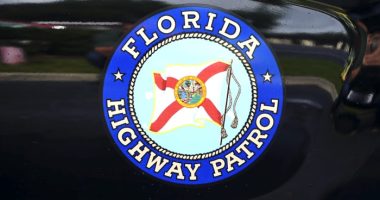 Motorcyclists crash after hitting alligator on I-4 in Orange City, troopers say