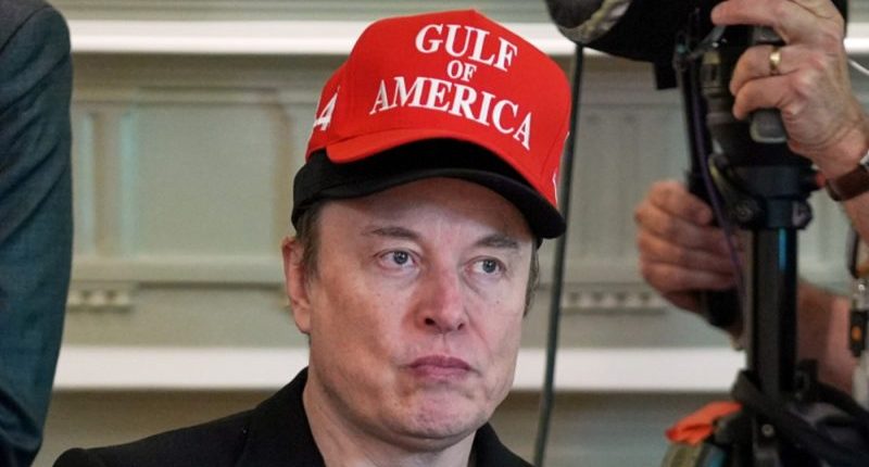 Musk says Trump is named in Epstein files
