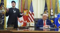 Musk says Trump would have lost election without him