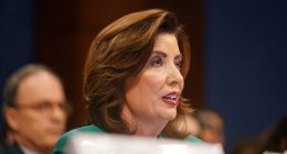 NYC mayoral candidate Lander 'free man' after ICE arrest: Governor