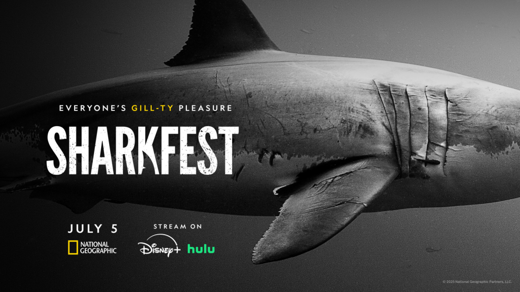 National Geographic's 'Sharkfest' lineup contains 25 hours of jaw-dropping fun, including 'Sharks Up Close' and 'Jaws @ 50'