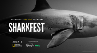 National Geographic's 'Sharkfest' lineup contains 25 hours of jaw-dropping fun, including 'Sharks Up Close' and 'Jaws @ 50'
