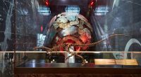 New dog-sized dinosaur identified after fossil mix-up