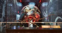 New dog-sized dinosaur identified after fossil mix-up