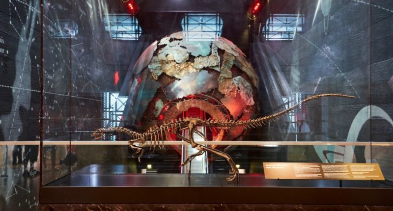 New dog-sized dinosaur identified after fossil mix-up