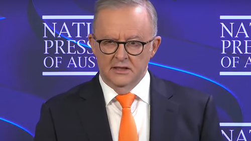 Prime Minister Anthony Albanese said 9News US Correspondent Lauren Tomasi had been targeted when she was shot by a rubber bullet while covering intensifying protests over mass immigration raids and arrests in Los Angeles. 