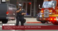 Peacekeeper at 'No Kings' rally shoots armed man: Cops