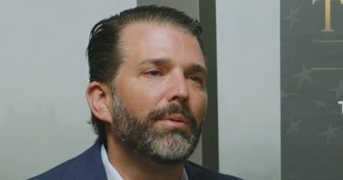 Political violence 'mostly caused' by Dems: Trump Jr.