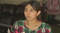 Pregnant US citizen detained by border agents: 'We didn't do anything wrong' 