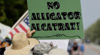 Protesters line highway in Florida Everglades to oppose 'Alligator Alcatraz'