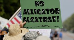 Protesters line highway in Florida Everglades to oppose 'Alligator Alcatraz'
