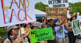 Protesters line highway in Florida Everglades to oppose ‘Alligator Alcatraz’