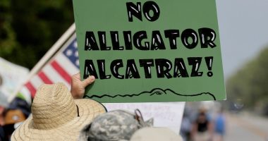 Protesters line highway in Florida Everglades to oppose 'Alligator Alcatraz'