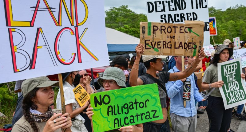 Protesters line highway in Florida Everglades to oppose ‘Alligator Alcatraz’