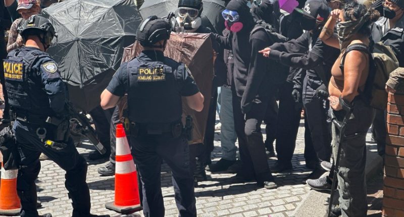 Protests over immigration raids pop up across the US with more planned