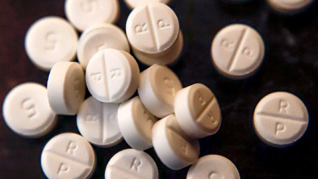 Purdue Pharma $7.4B settlement for opioid crisis receives state support