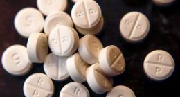 Purdue Pharma $7.4B settlement for opioid crisis receives state support
