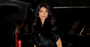'RHONJ' Teresa Giudice Hangs Up on Interviewers When Asked About Taxes
