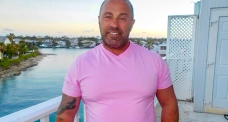 RHONJ's Joe Giudice Asks President Trump for a Pardon After Deportation for Crimes