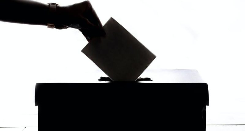 Republican Echols wins Georgia Public Service Commission primary as Democrats head for a runoff